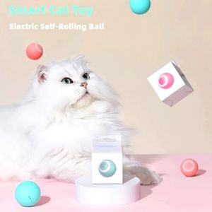 Cat Smart Ball!
